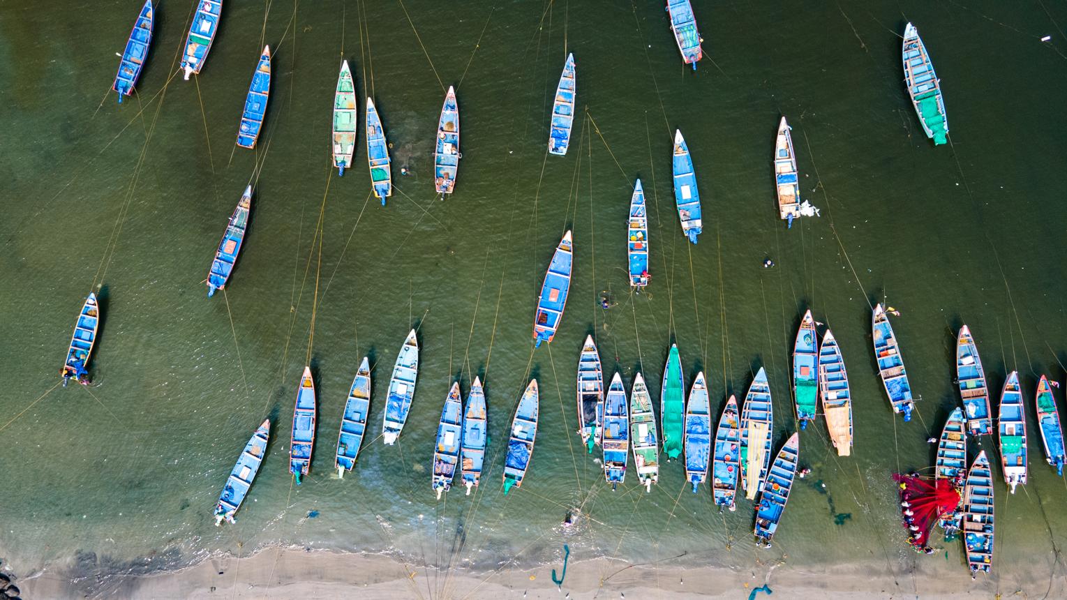 Fisheries & Aquaculture